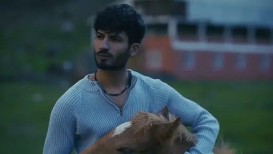 Din Guzra Lyrics English Translation – Jani